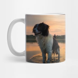 sundown refreshment Mug